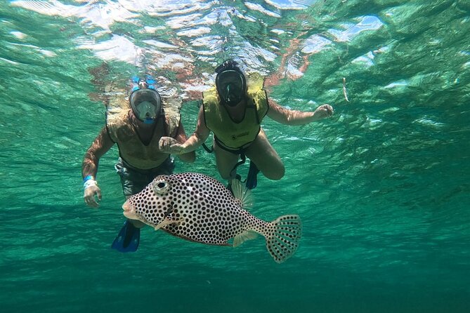 Cozumel Jeep Escape: Punta Sur Park, Jade Cavern & Snorkel - Punta Sur Eco Beach Park, crocodiles, Colombia lagoon, and the Celerain lighthouse