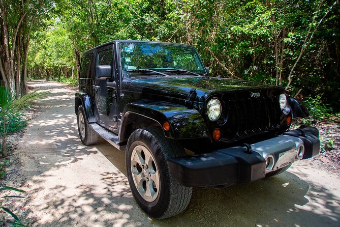 Cozumel Jeep Escape: Punta Sur Park, Jade Cavern & Snorkel - Jeep transport and pacing, a half-day that still feels full