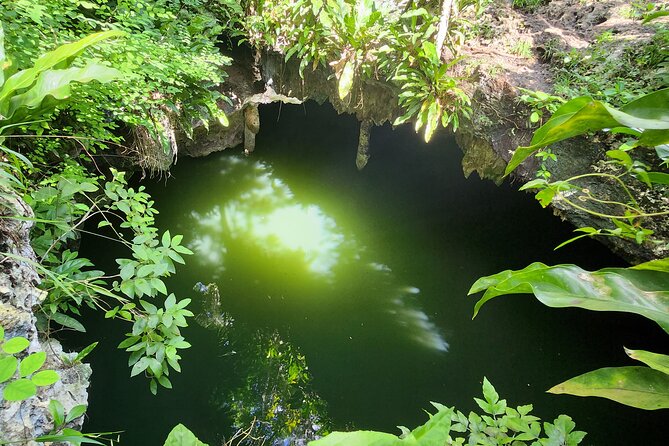 Cozumel Jeep Escape: Punta Sur Park, Jade Cavern & Snorkel - Skyreef Beach Club snorkeling, gear included and an easy reef setup