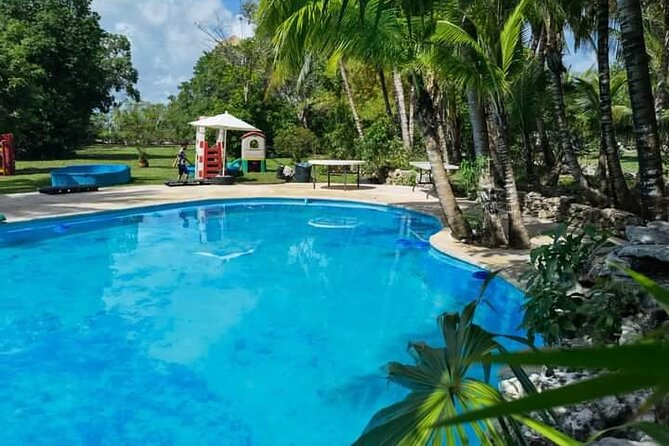 Cozumel Jungle ATV Adventure and Unlimited Beach Break - Choosing your comfort level: who this is best for