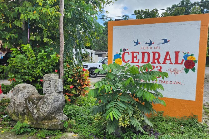 Cozumel Jungle ATV Tour Adventure and Caverns with transfer - Value and Price: $65 Works Best If You Want a Mixed Day
