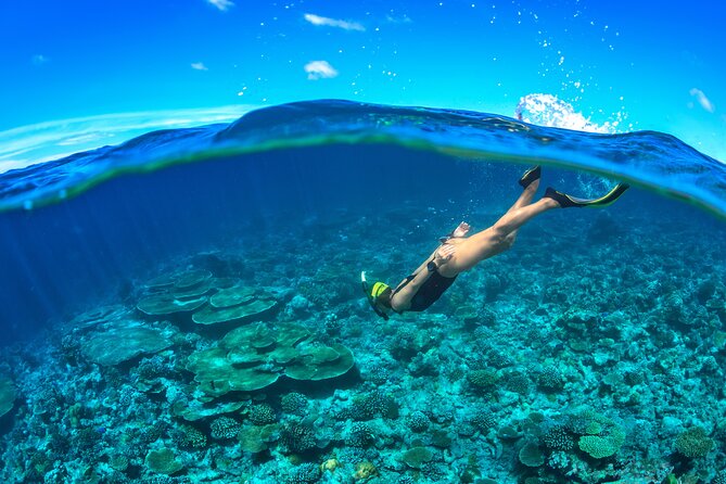 Cozumel Luxury Sailing & Snorkeling Cruise Experience - Open bar and food: the small comforts you’ll notice