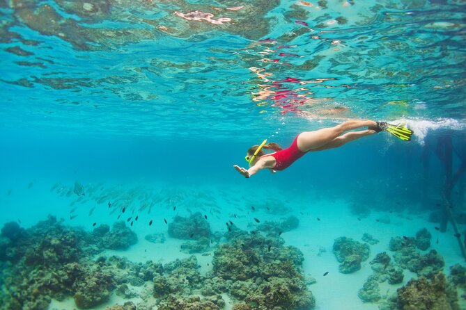 Cozumel Luxury Sailing & Snorkeling Cruise Experience - Timing, pickup, and ferries: the part that can make or break your morning