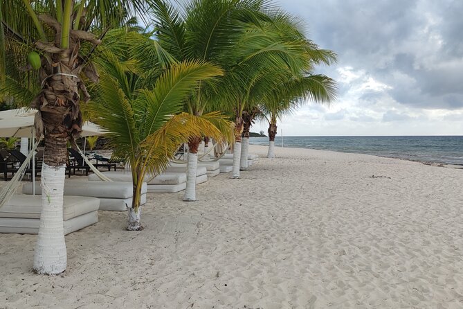 Cozumel Mayan Ruins and Beach Break - Drinks, Timing, and Value: Is $149.02 Really Fair?