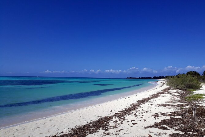 Cozumel National Park and Beach Break: Private Tour - Stop 2: Punta Sur Eco Beach Park for Crocodiles, Lighthouse, and Beach Time