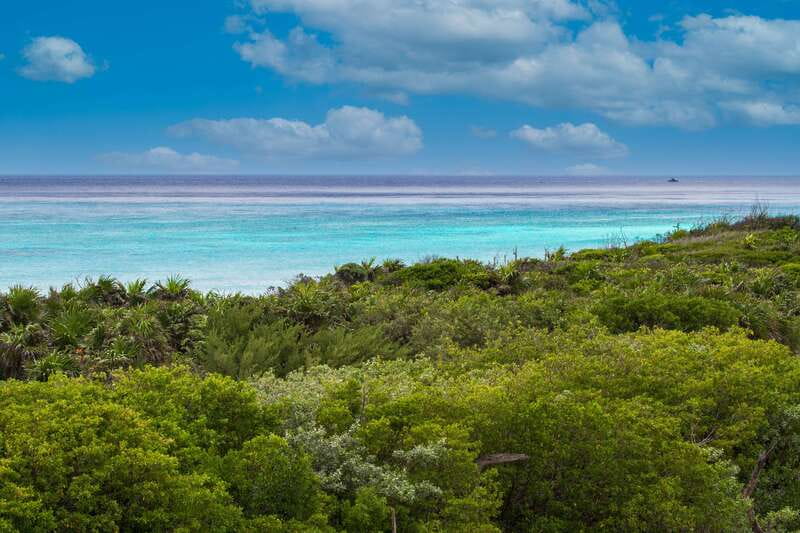 Cozumel: North Shore E-Bike Adventure & Beach Break - Beach Lunch on the Water: What You Get and How It Fits