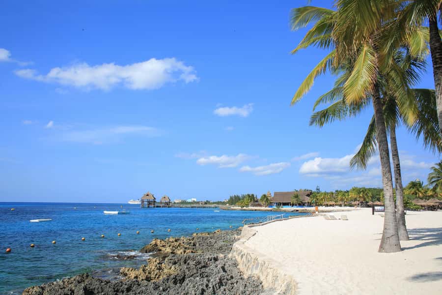 Cozumel: Official Chankanaab Park and Snorkel with Lunch - Beach time, sea lion shows, and a botanical garden walk