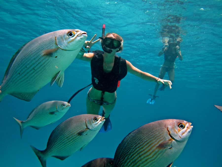 Cozumel: Official Chankanaab Park and Snorkel with Lunch - What to bring (so the day feels easy)