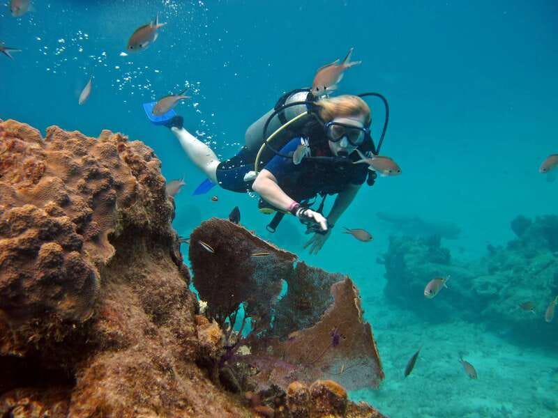 Cozumel: One Tank Scuba Dive and Full Chankanaab Park Access - Key things I’d zero in on