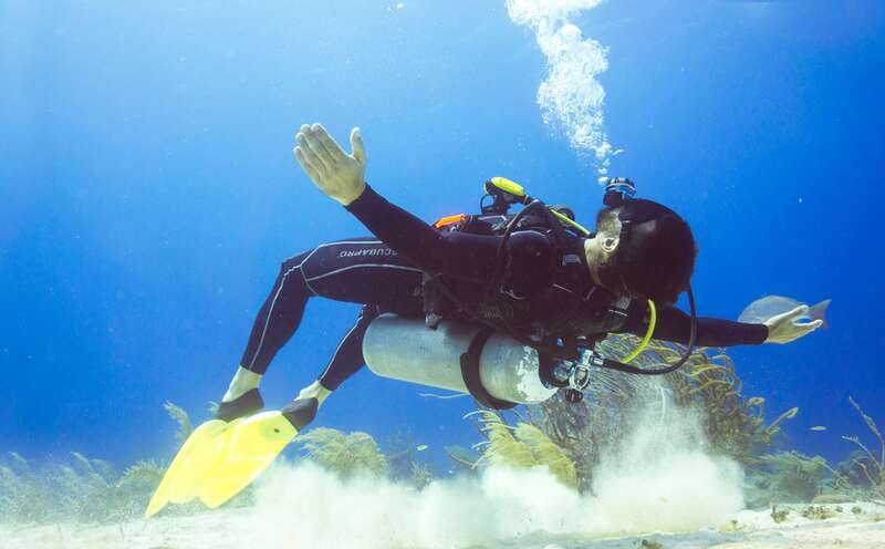 Cozumel: One Tank Scuba Dive and Full Chankanaab Park Access - Underwater Coaching That Helps You Relax Fast