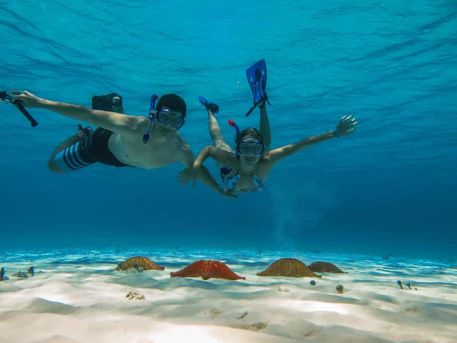 Cozumel: Palancar, Columbia and El Cielo Reefs Snorkel Tour - Where This Cozumel Snorkel Tour Starts, and Why It Matters