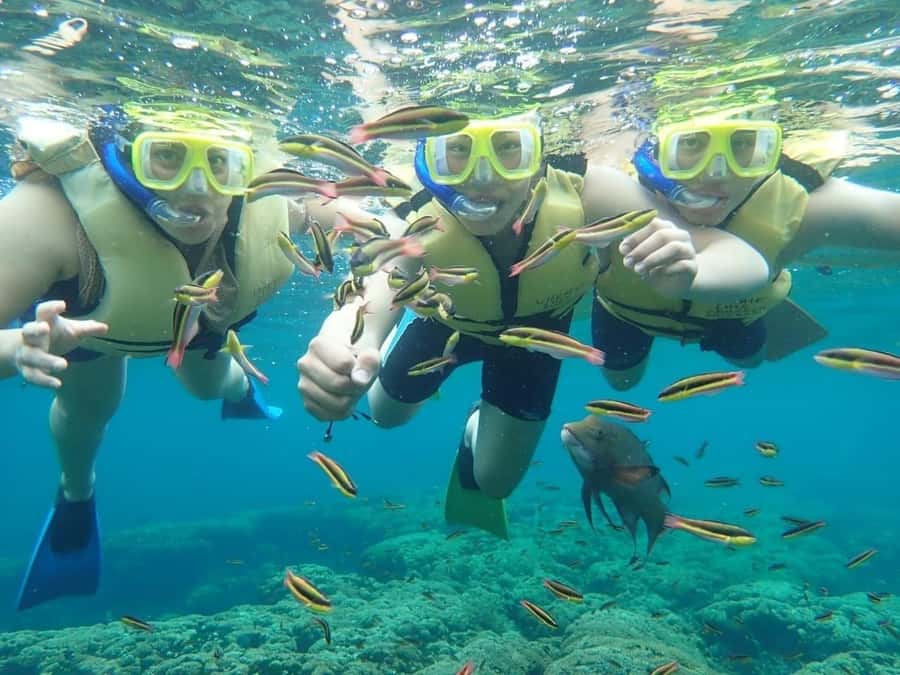 Cozumel: Palancar, Columbia and El Cielo Reefs Snorkel Tour - The Other Two Reef Stops: Palancar and Columbia in Your Route