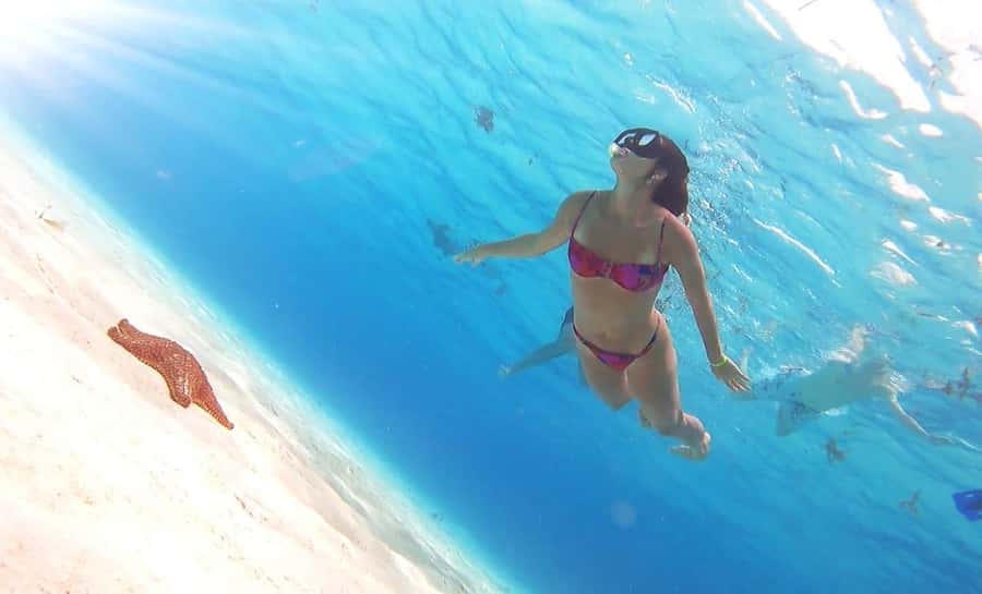 Cozumel: Palancar, Columbia and El Cielo Reefs Snorkel Tour - Food and Drinks After You Surface: What’s Included