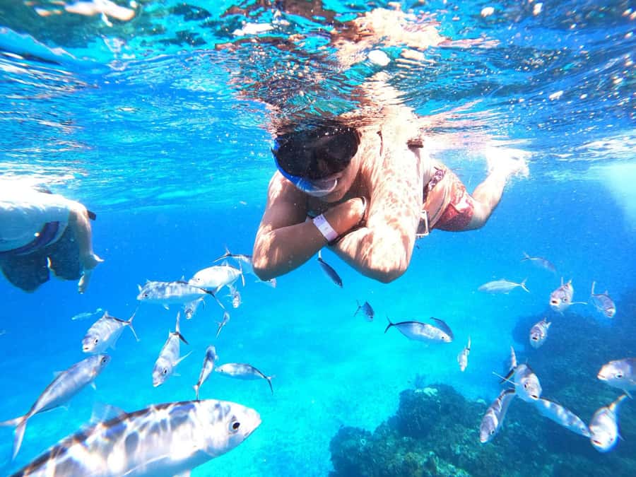 Cozumel: Palancar, Columbia and El Cielo Reefs Snorkel Tour - Price, Value, and the $11 Marine Fee You Must Plan For
