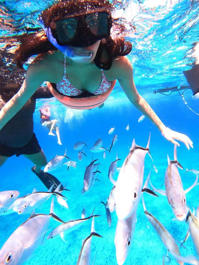 Cozumel: Palancar, Columbia and El Cielo Reefs Snorkel Tour - Who This Tour Fits Best (and Who Might Want Another Option)