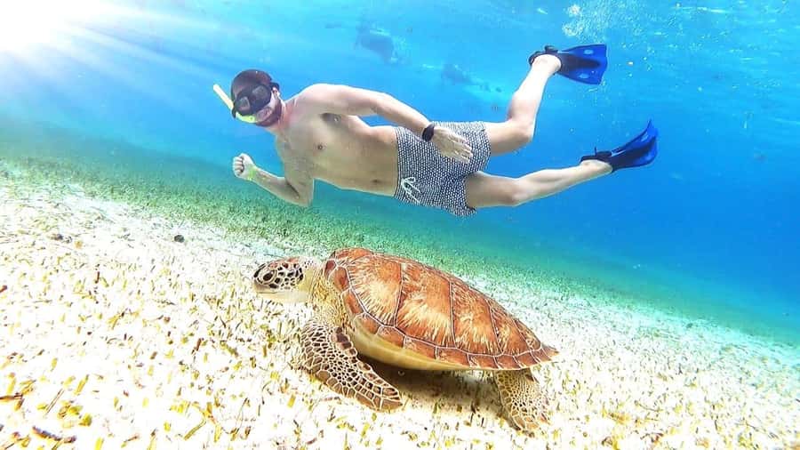 Cozumel: Palancar, Columbia and El Cielo Reefs Snorkel Tour - Boat Ride Details, Comfort, and What to Watch For