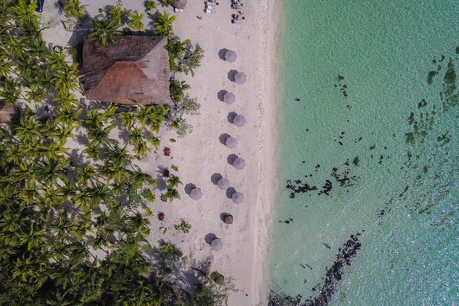 Cozumel Playa Palancar VIP All Inclusive Day Pass - All-Inclusive Food and Drinks: What You Can Expect