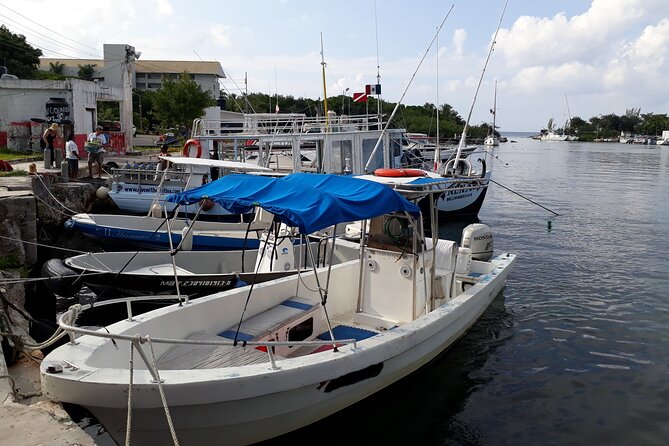 Cozumel Private 4-Hour Boat Tour to Passion Island - Reef and Shipwreck Snorkeling: When Visibility Hits, It Really Hits