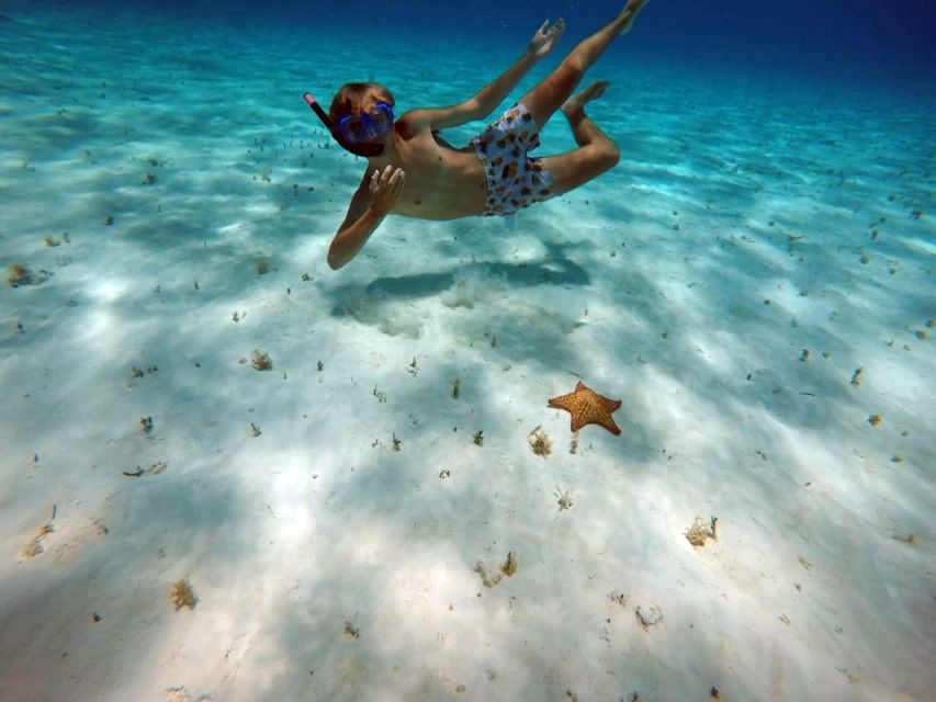 Cozumel: Private Charter Boat and Snorkel Day Trip - Fresh flavors on board: fruit, guacamole, and ceviche