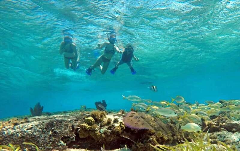 Cozumel: Private Charter Boat and Snorkel Day Trip - Marina Fonatur and the First Lady: where you start