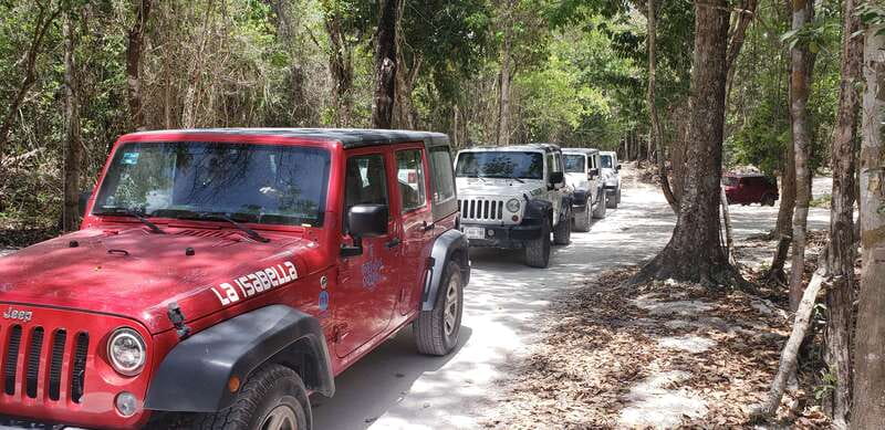 Cozumel: Private Jeep Tour Shore Excursion - San Martin Virgin Beaches and the Turtle Hatching Program