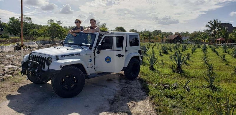 Cozumel Private Jeep Tour with Lunch and Snorkeling - Price and value: $210 per group up to 2, plus what can add up