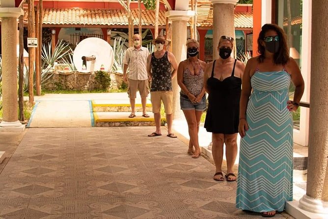 Cozumel Private Jeep Tour with Snorkeling Experience and Lunch - Meeting Point, Timing, and How Customization Gets Real