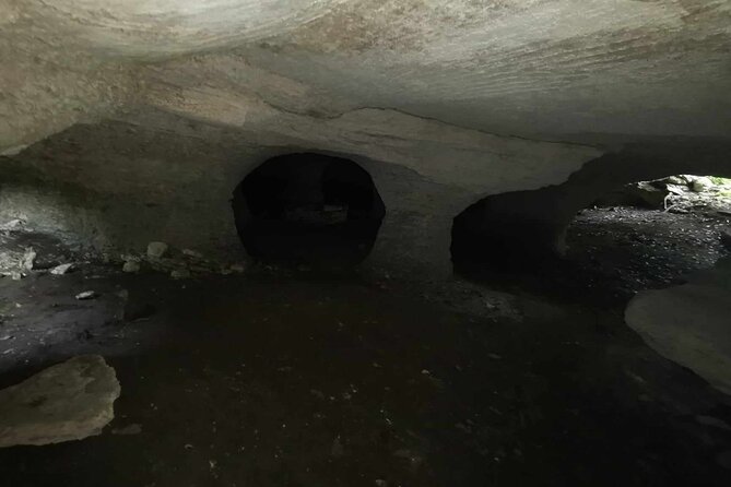 Cozumel Private Mayan caves & history Tour with cenote & Lunch - Rancho Buenavista Mayan Caves: Jungle Trails and Real History