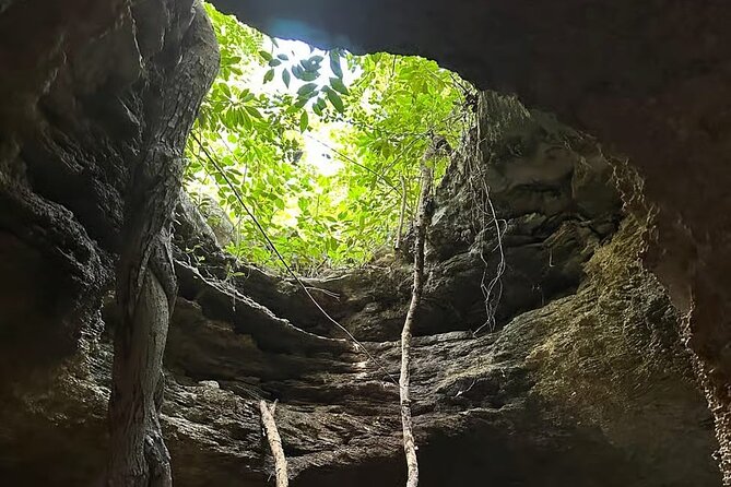 Cozumel Private Mayan caves & history Tour with cenote & Lunch - El Mirador Lunch: Mexican Food With a View