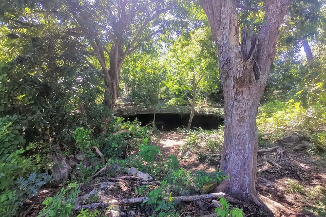Cozumel Private Mayan caves & history Tour with cenote & Lunch - Cenote Aerolito de Paraiso: Mayan Meaning and Optional Swim