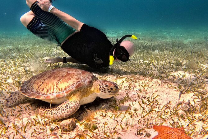 Cozumel Private Snorkeling and Charter Experience - A Small-Group Boat That Makes Snorkeling Feel Effortless