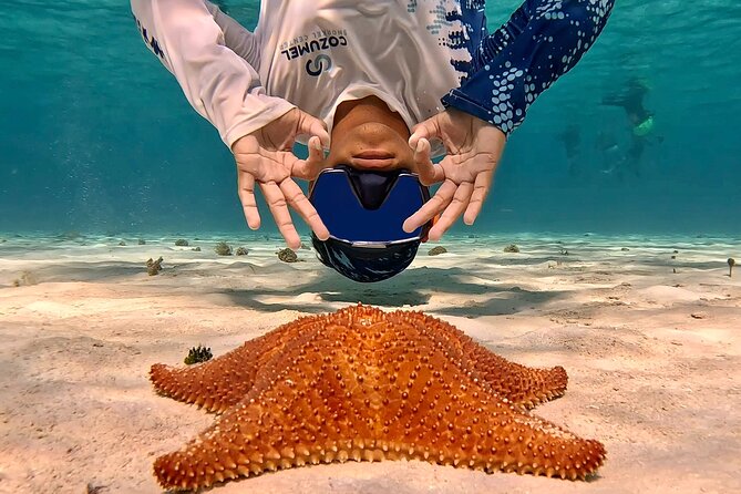 Cozumel Private Snorkeling and Charter Experience - Route Choice Depends on Weather, and That’s a Good Thing