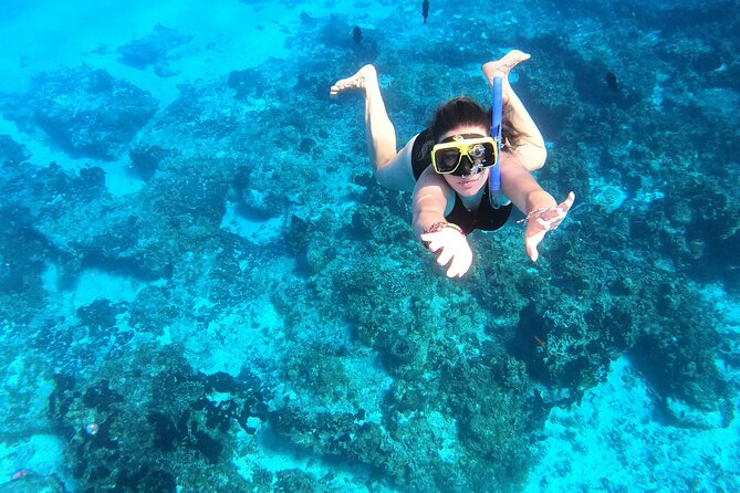 Cozumel Private Snorkeling and Charter Experience - Getting There: Caleta Harbor, Hotel Jetties, and Local Time