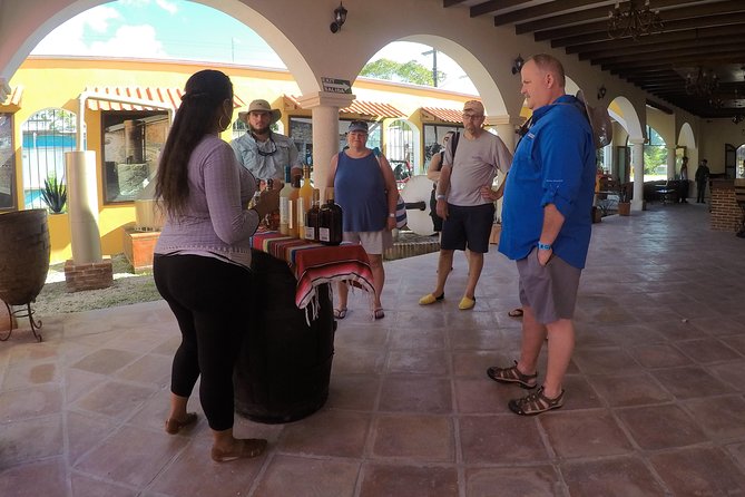 Cozumel Private Van Service with Snorkel Tour - Accessibility and mobility, ask the question that prevents heartbreak
