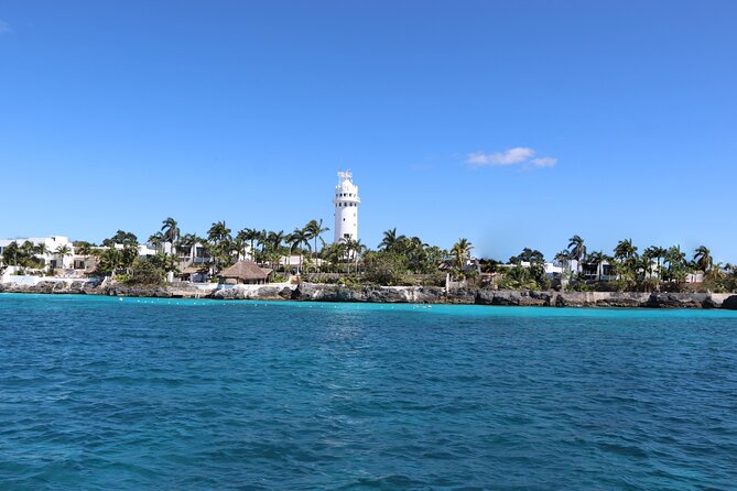 Cozumel Reef Snorkeling Tour - The appeal: Cozumel snorkeling that actually feels timed right
