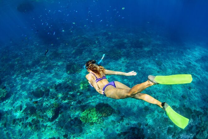 Cozumel Reef Snorkeling Tour - Pickup and meeting point: don’t get caught on the clock