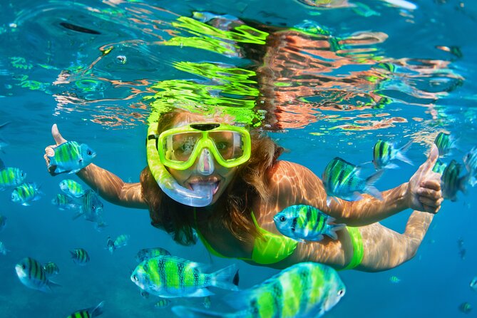 Cozumel Reef Snorkeling Tour - Should you book it?