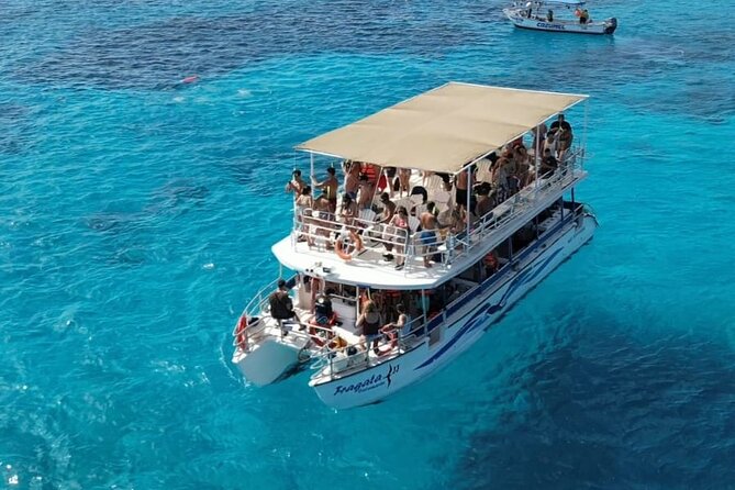 Cozumel's Best: Snorkel Adventure in El Cielo and El Cielito - Stop 2: El Cielo starfish sanctuary (20 minutes of pure spectacle)