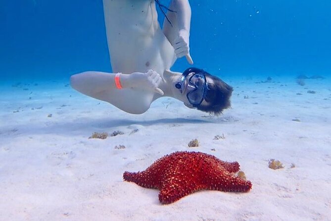 Cozumel's Best: Snorkel Adventure in El Cielo and El Cielito - Food and drinks: what’s included, and what to watch