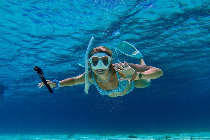 Cozumel's Best: Snorkel Adventure in El Cielo and El Cielito - Price and value: $39 plus the 500 MXN docking fee