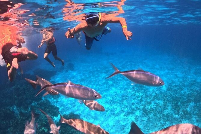 Cozumel's Best: Snorkel Adventure in El Cielo and El Cielito - On board: drinks, music, and how to settle in fast