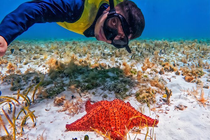 Cozumel's Reefs in El Cielo, Palancar and Columbia Guided Tour - Key things to know before you go