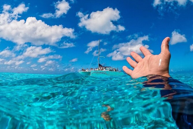 Cozumel's Reefs in El Cielo, Palancar and Columbia Guided Tour - A practical half-day that hits three of Cozumel’s reef favorites