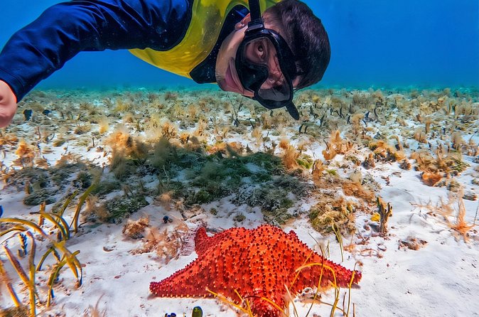 Cozumel's Reefs in El Cielo, Palancar and Columbia Guided Tour - Gear rules, fins, and the life jacket reality check