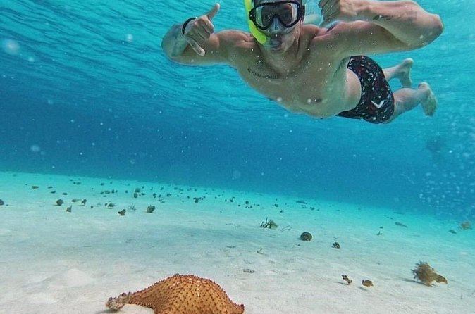 Cozumel's Reefs in El Cielo, Palancar and Columbia Guided Tour - Check-in surprises, partner operators, and language expectations