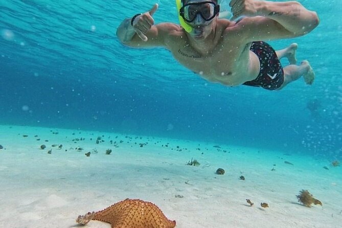 Cozumel's Reefs in El Cielo, Palancar and Columbia Guided Tour - Weather, refunds, and what to do if the tour changes