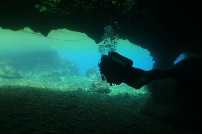 Cozumel Scuba Dive at Chankanaab - Balones of Chankanaab and Underwater Sculptures: What Makes This More Than Fish Watching