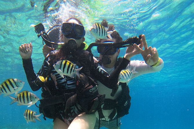 Cozumel Scuba Dive at Chankanaab - Gear, Instruction, and Safety: The Part That Actually Determines Your Confidence