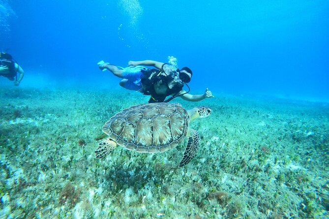 Cozumel Scuba Dive at Chankanaab - Price and Value: Is $85 Really a Good Deal Here?