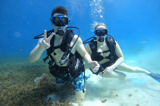 Cozumel Scuba Dive at Chankanaab - Logistics That Matter: Cruise Port Timing, Taxis, and Port Confusion